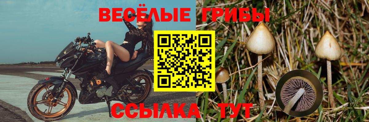 Наро-Фоминск  Псилоцибиновые грибы мухоморы  Вход с VPN 